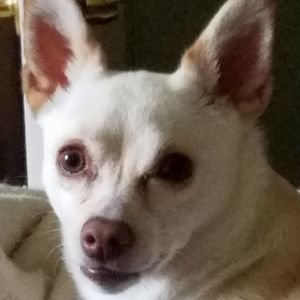 Meet your Posher, Beth